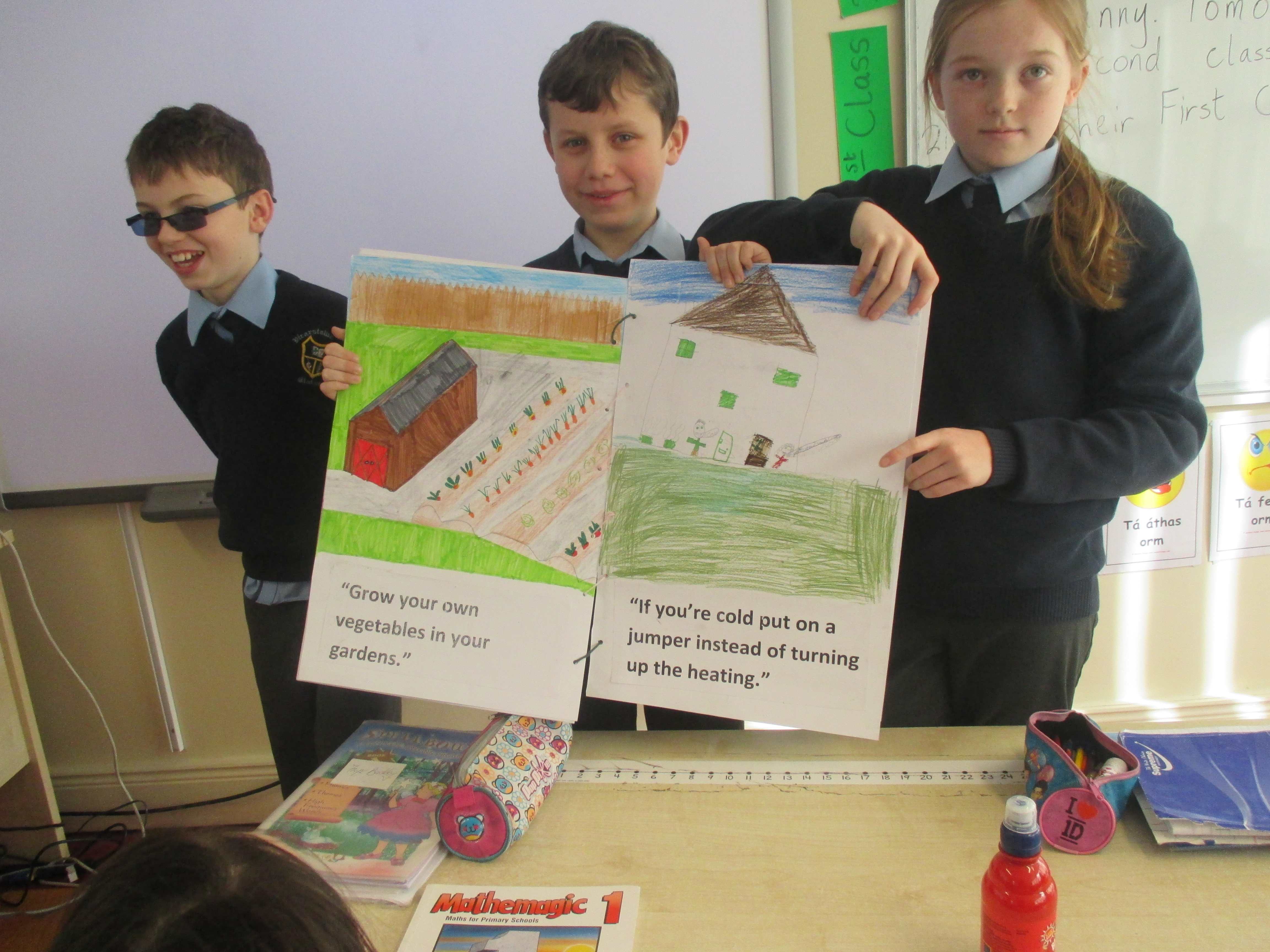 irish aid